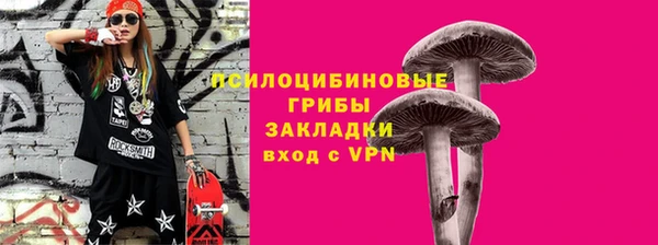 ГАЛЛЮЦИНОГЕННЫЕ ГРИБЫ Абинск